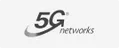 5G Networks