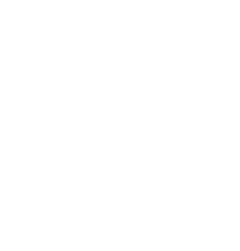 icon BitNinja Server Security