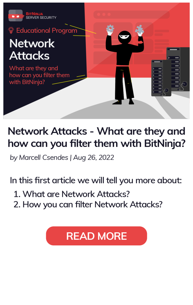 BitNinja Educational Program - Network Attacks