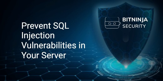 Prevent SQL Injection Vulnerabilities in Your Server - BitNinja Security