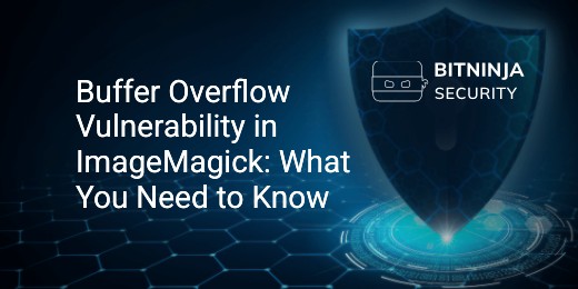 Buffer Overflow Vulnerability in ImageMagick: What You Need to Know ...