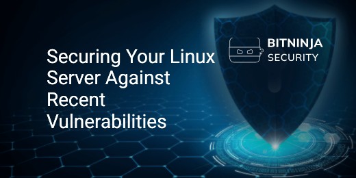 Securing Your Linux Server Against Recent Vulnerabilities - BitNinja ...
